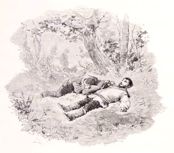 202_160_quijote_cap13