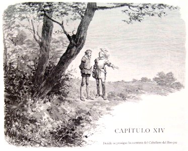202_161_quijote_cap14