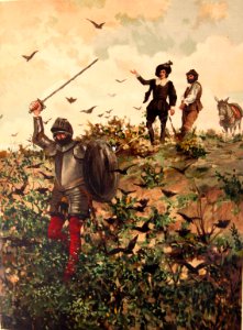 202_181_quijote_cap22
