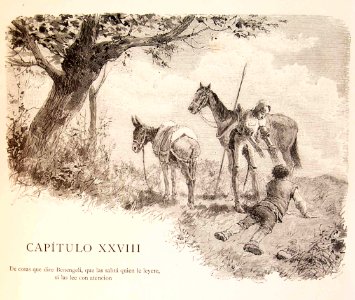 202_194_quijote_cap28