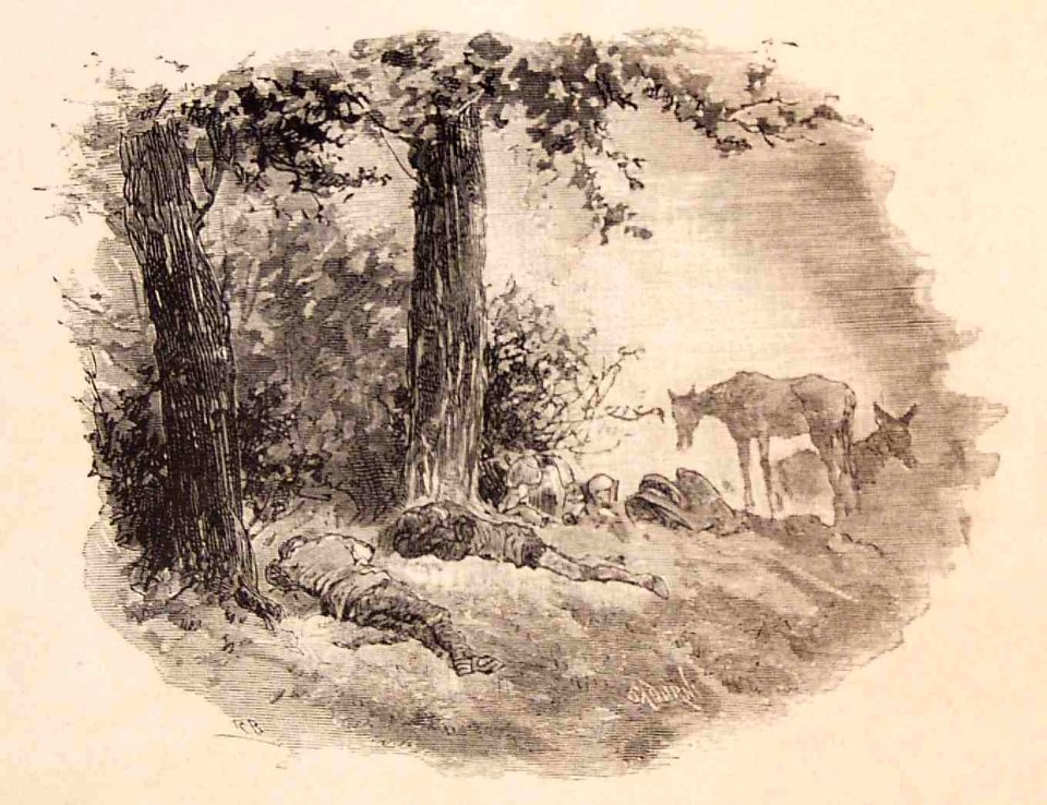 202_195_quijote_cap28