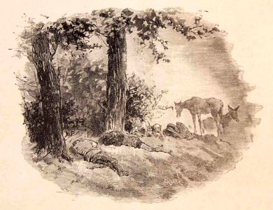 202_195_quijote_cap28