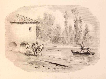 202_198_quijote_cap29