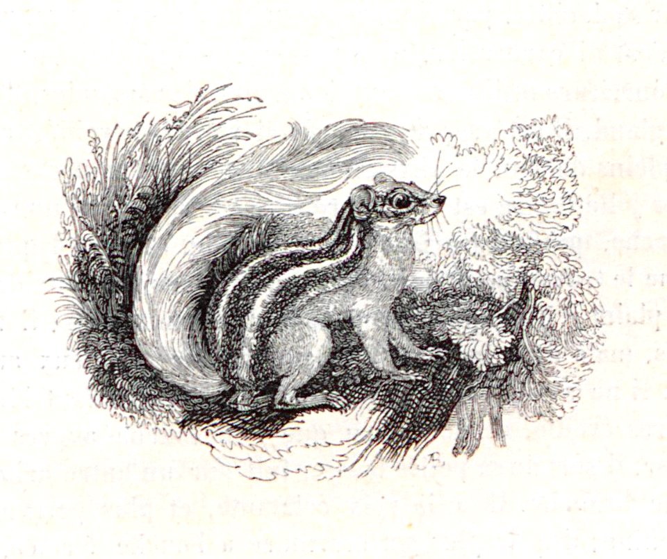 AI123_0458