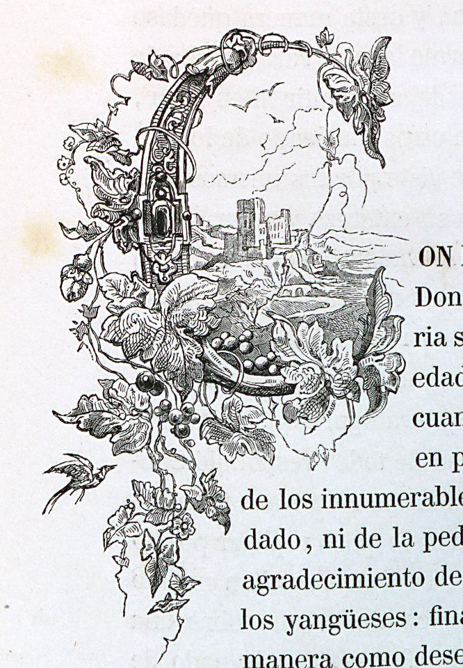 "Letra C"