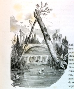 "Letra A"