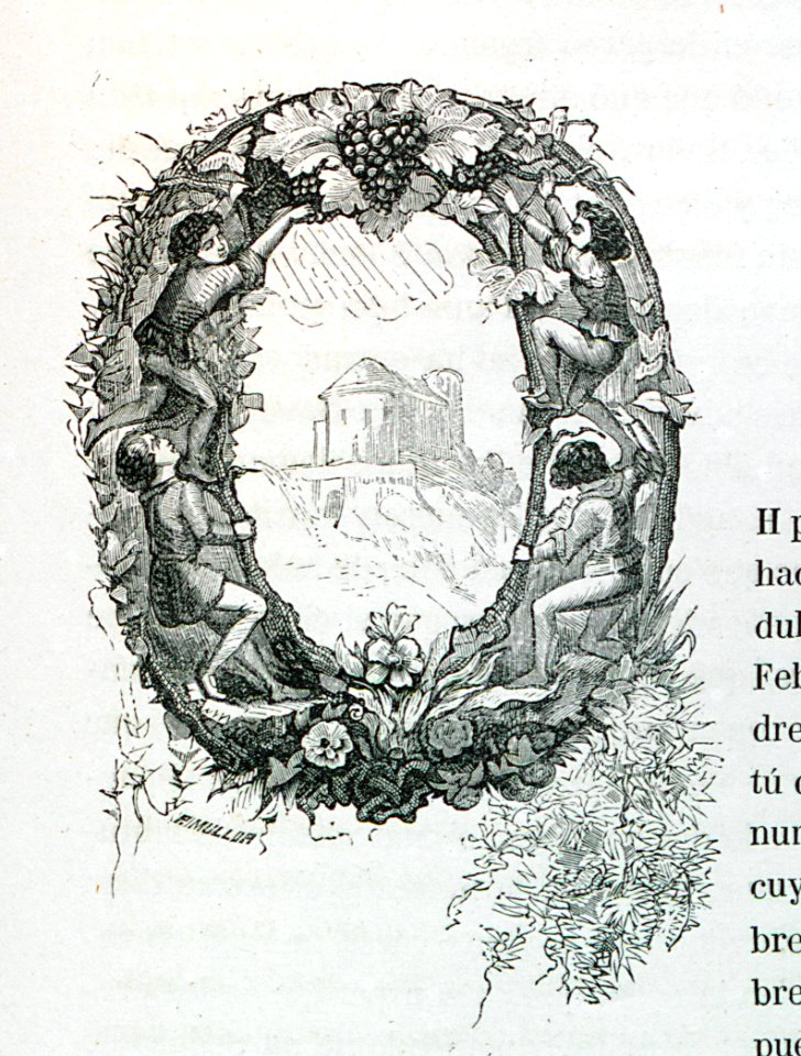 "Letra O"