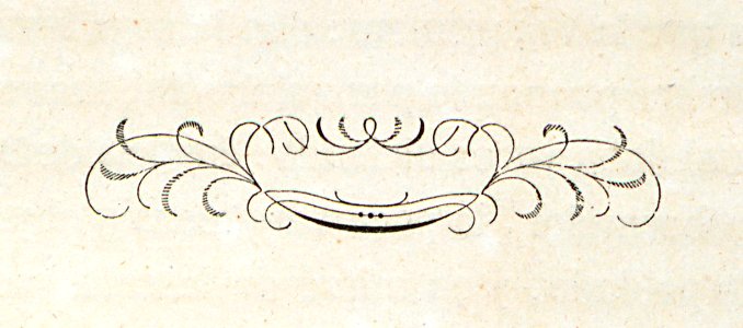Adorno