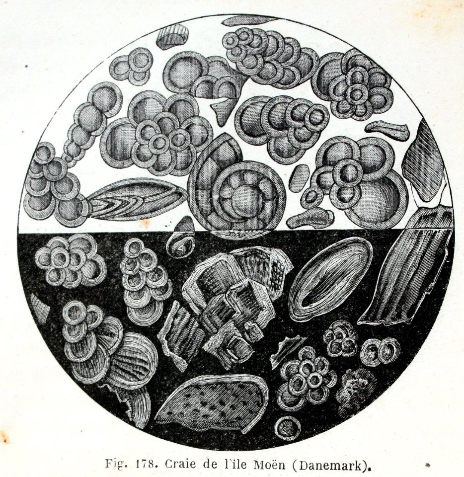 "Craide de l'ile Moén".