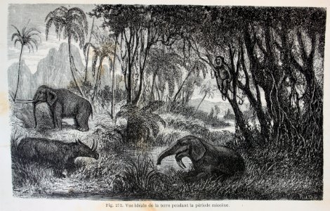 "Vue idéale de la terre pendant la période miocene".