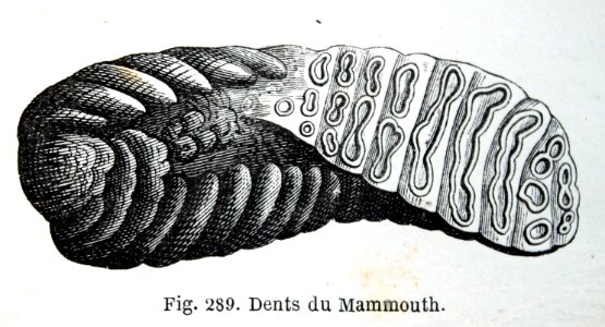 "Dents du Mammouth".. Free illustration for personal and commercial use.