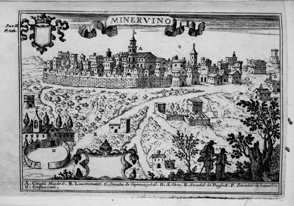 "Minervino"