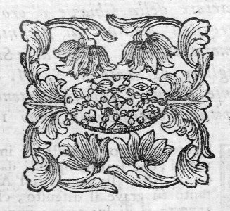 A014155_0234