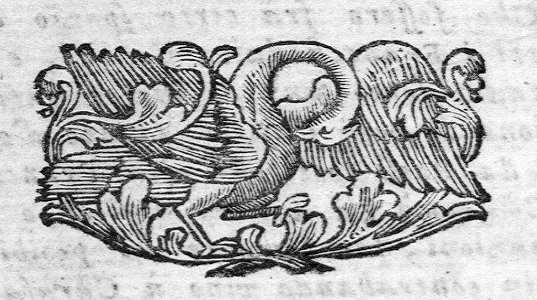 A014156_0481