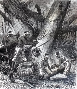 "Récolte de la gutta-percha dans une fôret de la malaisie"…. Free illustration for personal and commercial use.