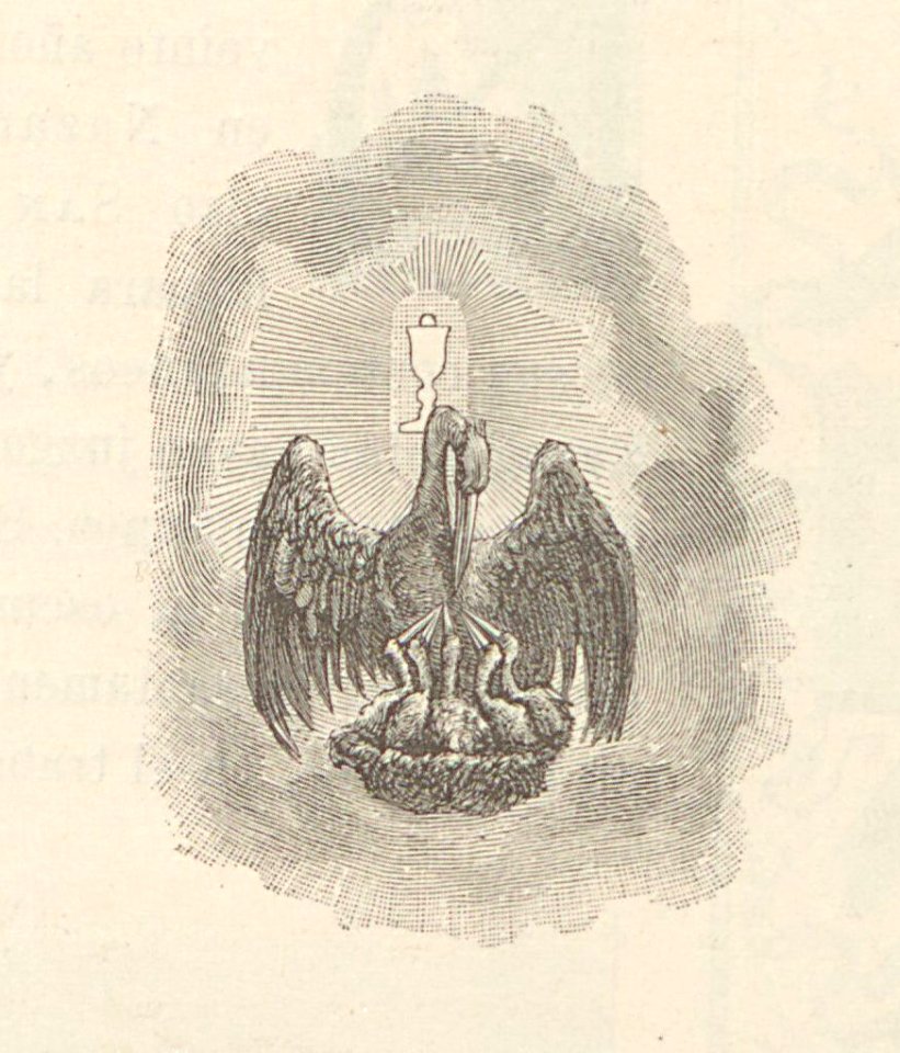 A044128_0375