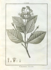 A064102_0124