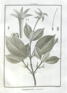 A064102_0132