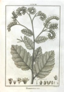 A064102_0166