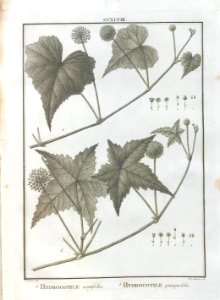 A064102_0176