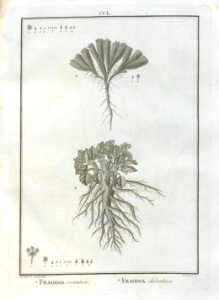 A064102_0180