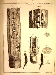 A298181_0152