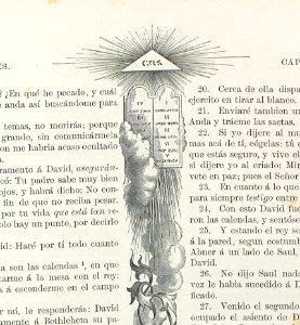 orn_AI157_0036