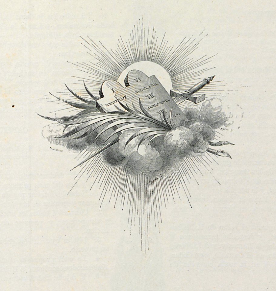 orn_AI157_0240