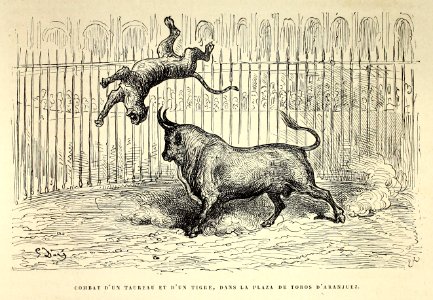 "Combat d'un taureau et d'un tigre, dans la Plaza de Toros…