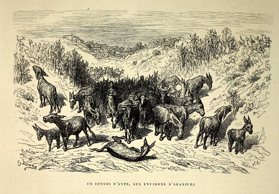 "Un convoi d'anes, aux environs d'Aranjuez"