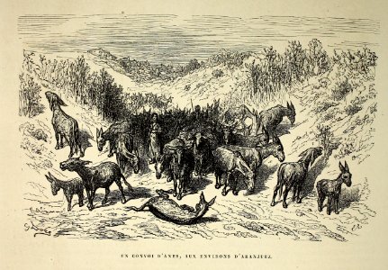 "Un convoi d'anes, aux environs d'Aranjuez"