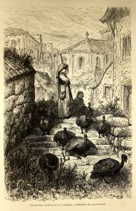 "Une pavera (gardeuse de dindons), campagne de Salamanque"…