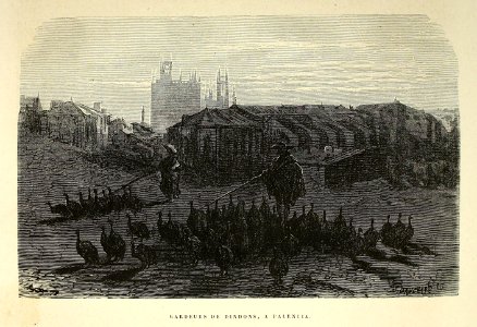 "Gardeurs de dindons, a Palencia"