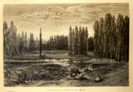 "Les peupliers de la campagne de Léon"