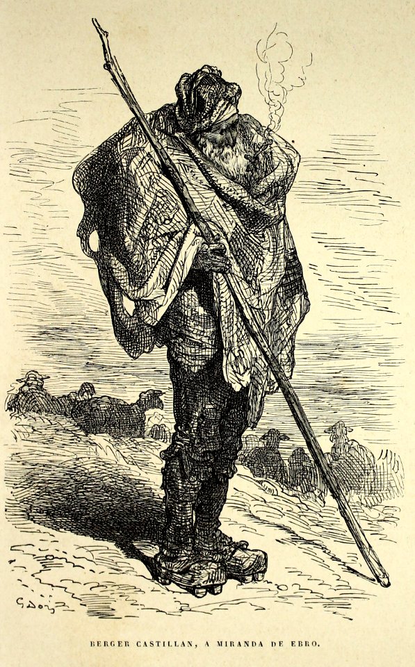 "Berger castillan, a Miranda de Ebro"