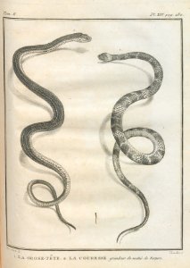 AG100_0480