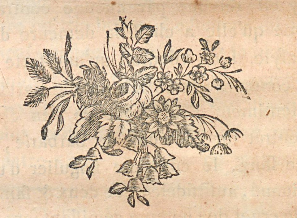 AG100_0467