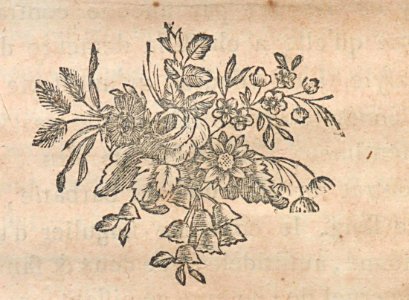 AG100_0467
