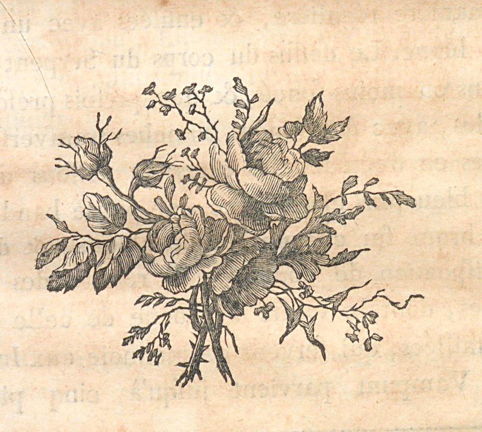 AG100_0491