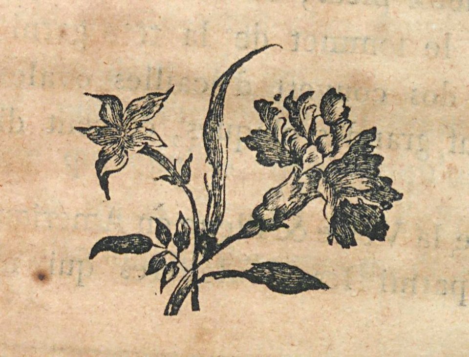 AG100_0506