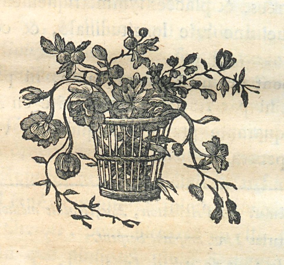 AG100_0518