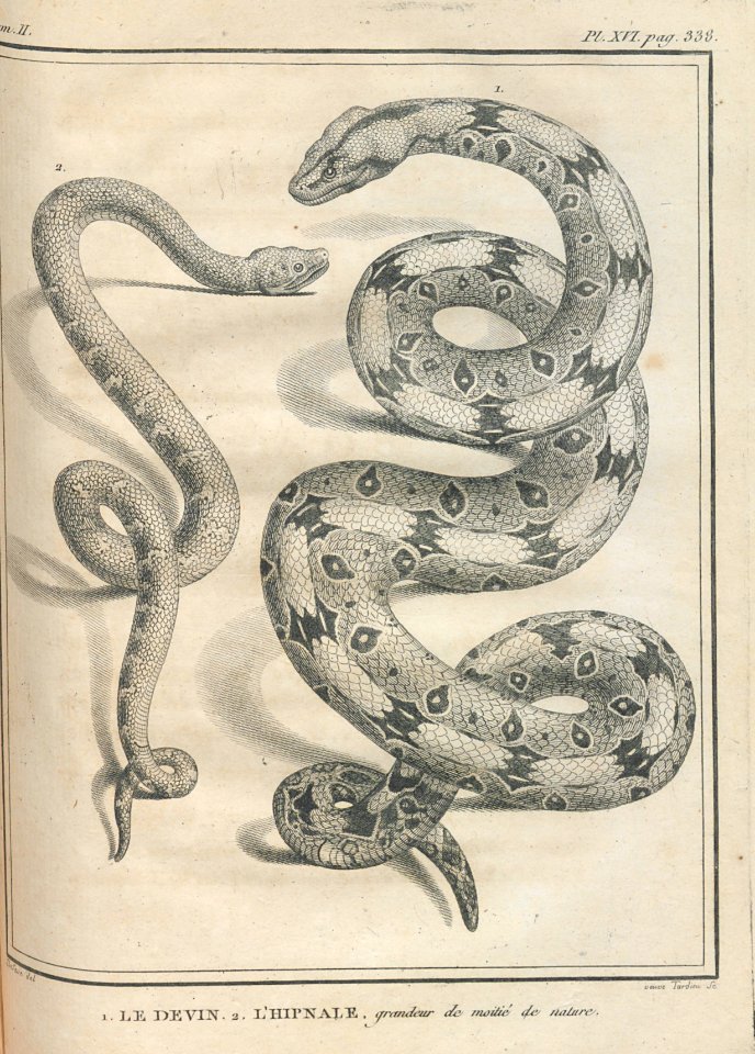 AG100_0542