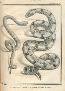 AG100_0542