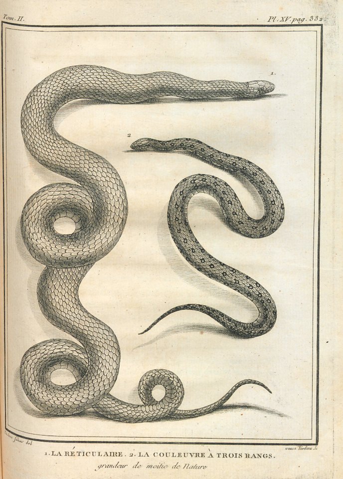 AG100_0534