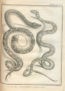 AG100_0584