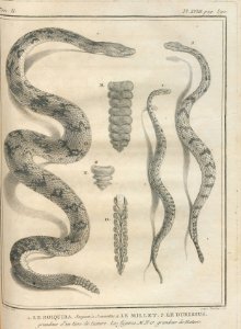 AG100_0602