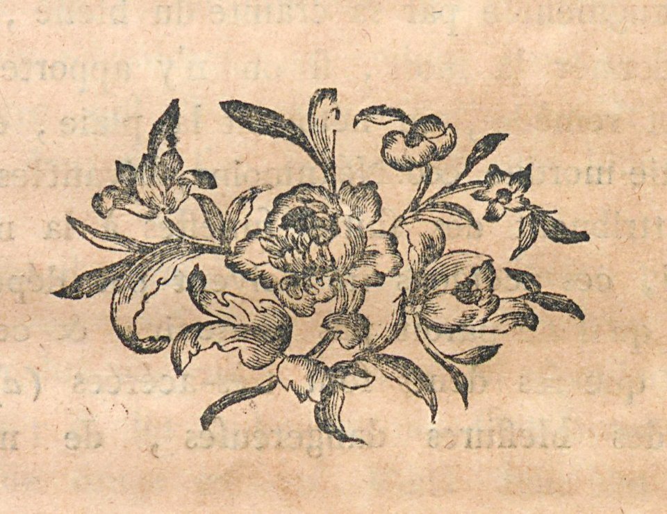 AG100_0589