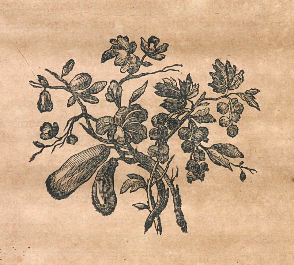 AG100_0629
