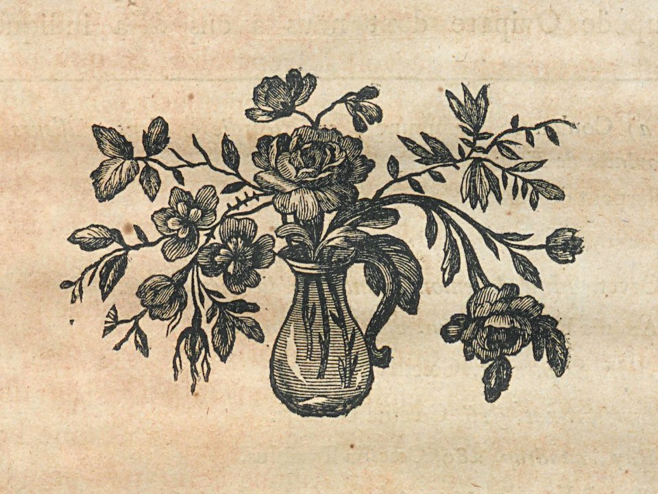 AG100_0638