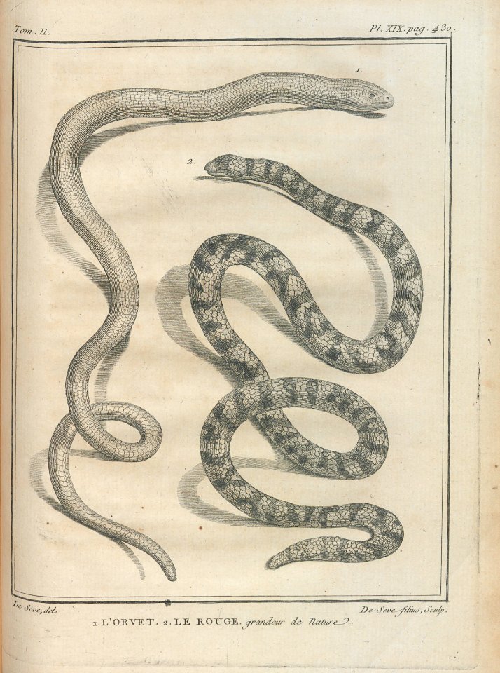 AG100_0640